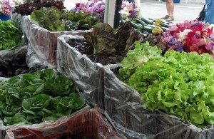 Baby head lettuces at the farmers' market.