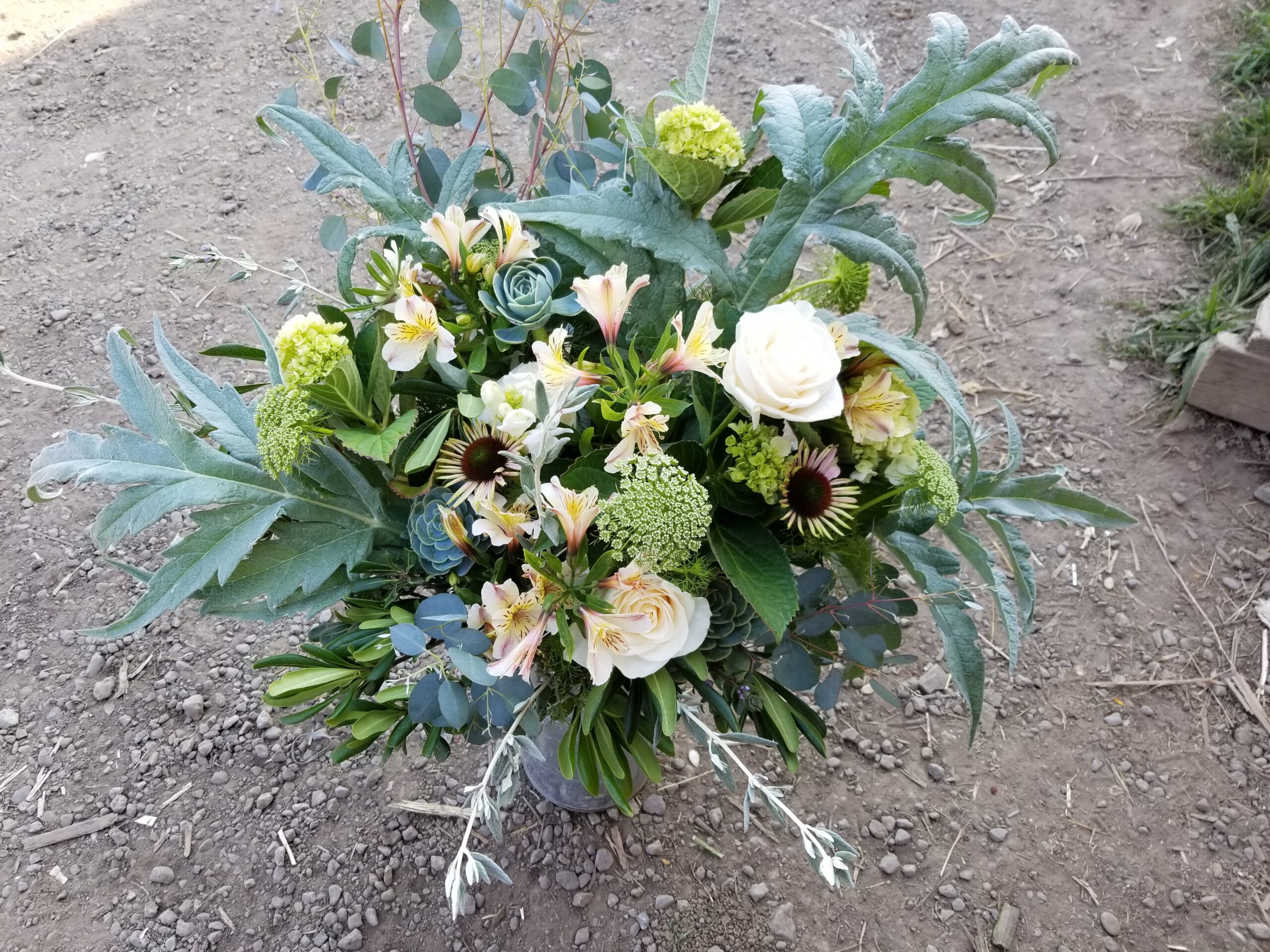 Fresh Bulk Flowers From Our Farm in Boulder — Artemis Flower Farm