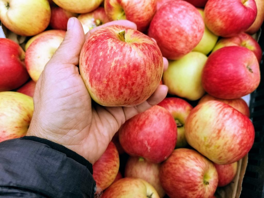 Apples Fifth Crow Farm