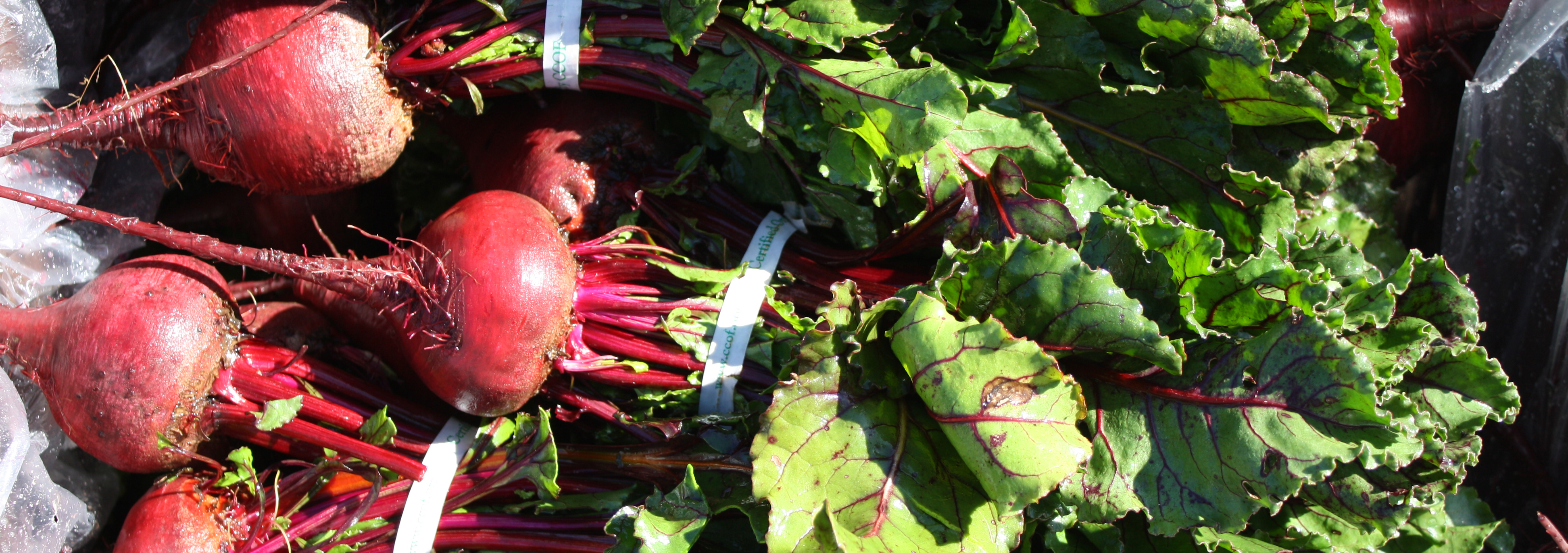 Red Beets